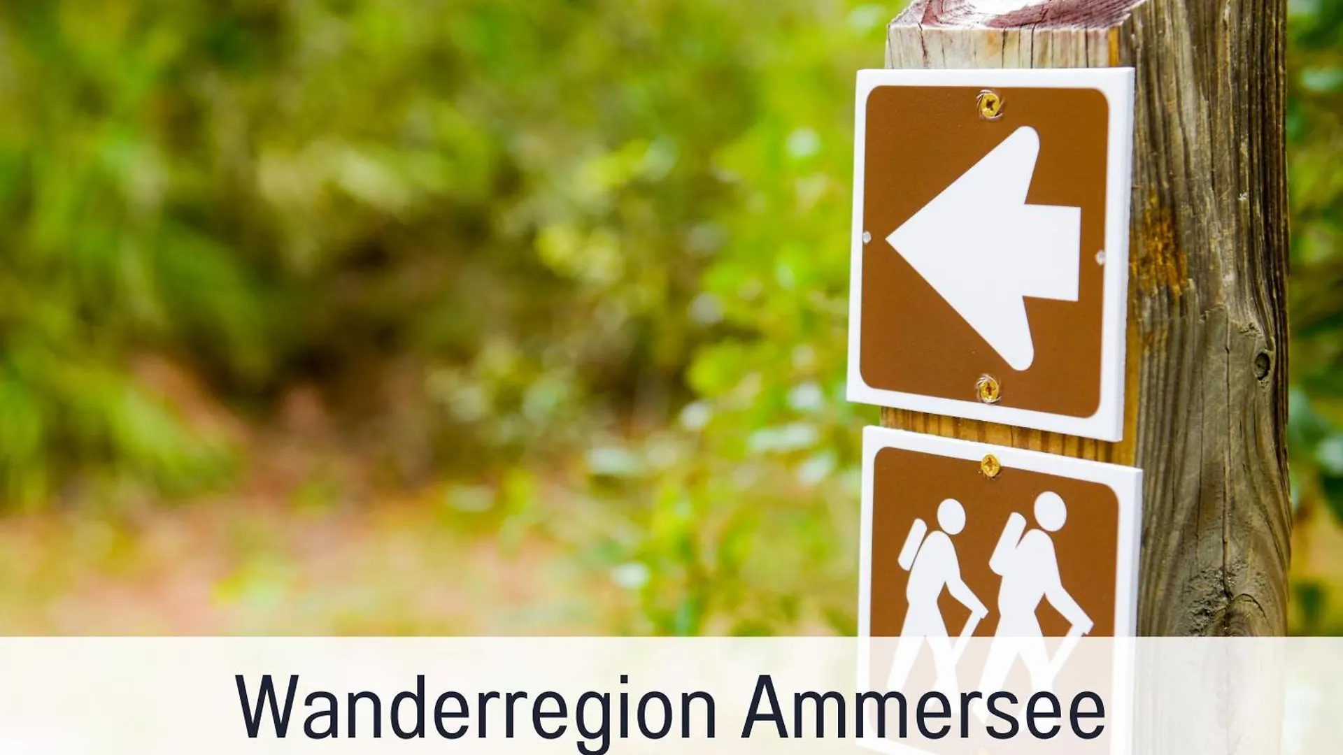 Seezeit Ferienwohnungen Familiennest Diessen am Ammersee Apartment